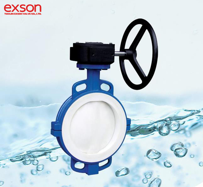 Ptfe Lined Butterfly Valves